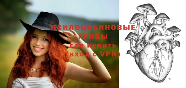 винт Арсеньев