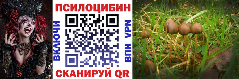 Псилоцибиновые грибы Magic Shrooms  Купить где  Бобров 